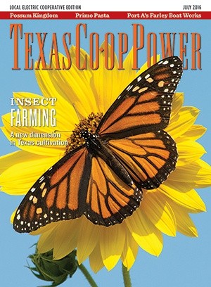 Texas Coop Power Magazine Cover - July 2016
